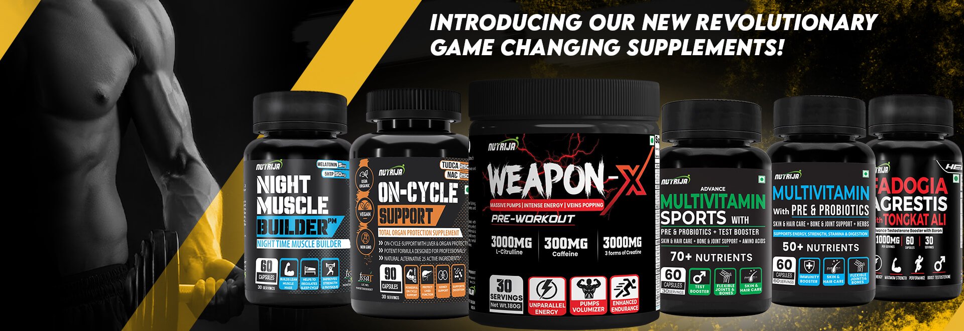 Newly Launched Newly Launched